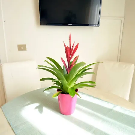 Apartmán Giardino In Citta; Centralissimo *