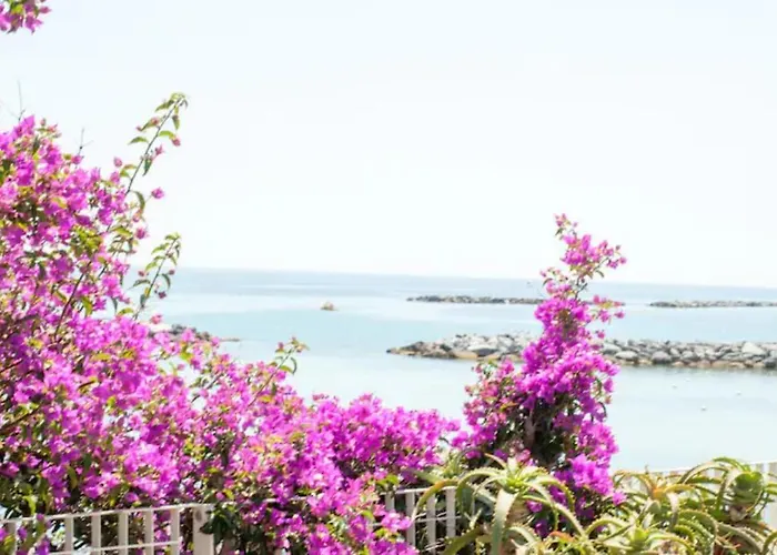 Giardino In Citta; Centralissimo * Санремо