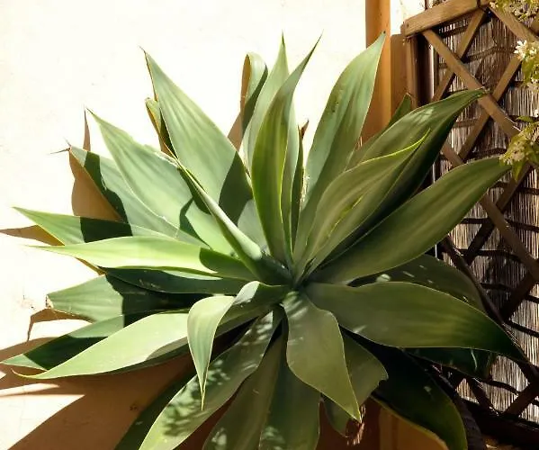 Апартаменты Giardino In Citta; Centralissimo