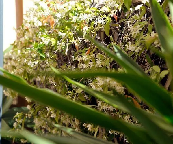 Giardino In Citta; Centralissimo Апартаменты Санремо