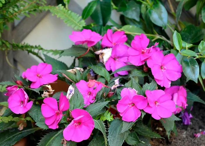 Giardino In Citta; Centralissimo *