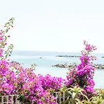 Giardino In Citta; Centralissimo * Sanremo