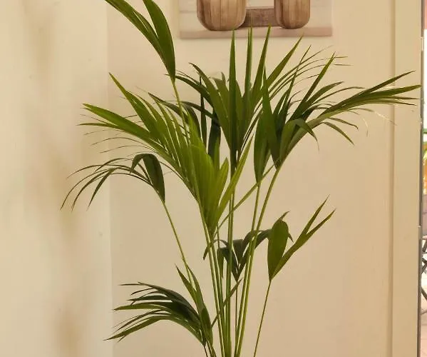 Giardino In Citta; Centralissimo